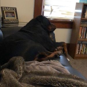 Meet your Posher, Leslie